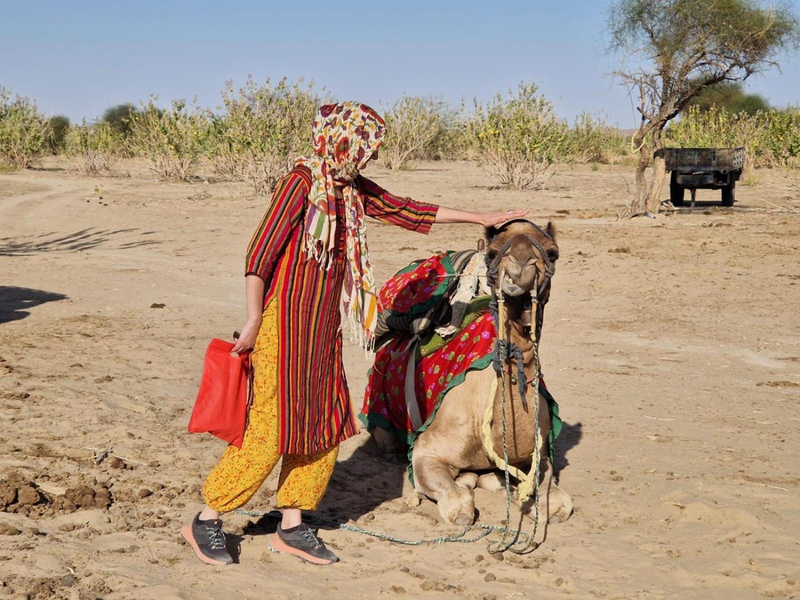 Marigold Homestay Jaisalmer Luaran gambar