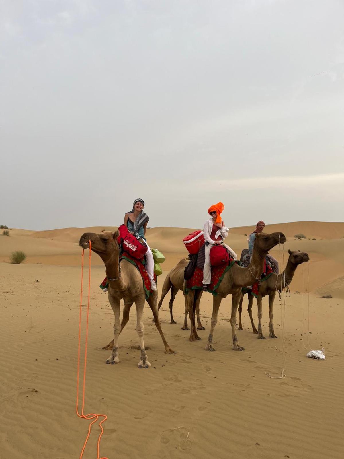Marigold Homestay Jaisalmer Luaran gambar